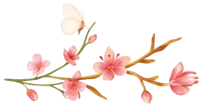 Prancheta-5.webp